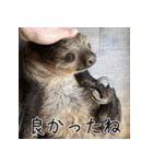 ナマちゃん スタンプ（個別スタンプ：37）