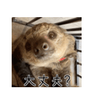 ナマちゃん スタンプ（個別スタンプ：38）