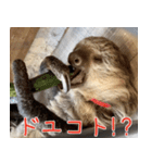 ナマちゃん スタンプ（個別スタンプ：39）