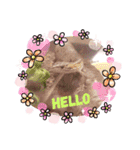 カナヘビちょろちょろ カナヘビ集合！Part2（個別スタンプ：1）