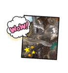 カナヘビちょろちょろ カナヘビ集合！Part2（個別スタンプ：6）