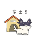 日々、はすきー。（個別スタンプ：3）