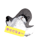 サスケくん3（個別スタンプ：10）
