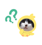 サスケくん3（個別スタンプ：14）