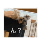 ビビちゃんの（個別スタンプ：1）