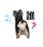 ビビちゃんの（個別スタンプ：6）