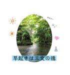 日常会話を風景写真で（個別スタンプ：38）