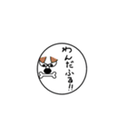 目力鳥（個別スタンプ：17）