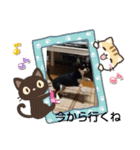 犬のチョコ君3（個別スタンプ：8）