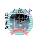 犬のチョコ君3（個別スタンプ：15）