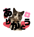 モップとミルク3（個別スタンプ：20）