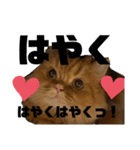 モップとミルク3（個別スタンプ：28）