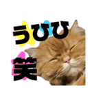 モップとミルク3（個別スタンプ：32）