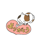 こねこねこスタンプ（個別スタンプ：3）