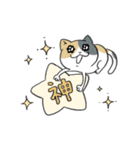 こねこねこスタンプ（個別スタンプ：22）