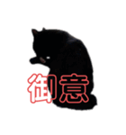 売上は100%君たちのご飯代だ！（個別スタンプ：6）