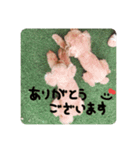 るんろーこむあず。（個別スタンプ：1）