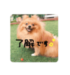 るんろーこむあず。（個別スタンプ：2）