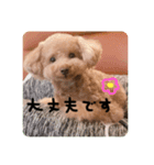 るんろーこむあず。（個別スタンプ：3）
