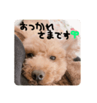 るんろーこむあず。（個別スタンプ：4）