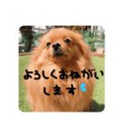 るんろーこむあず。（個別スタンプ：5）