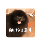 るんろーこむあず。（個別スタンプ：6）