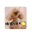 るんろーこむあず。（個別スタンプ：7）