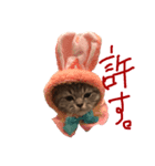僕はマヨネーズ（個別スタンプ：3）