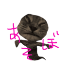 僕はマヨネーズ（個別スタンプ：5）