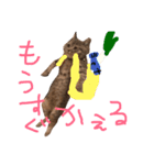 僕はマヨネーズ（個別スタンプ：6）