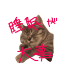 僕はマヨネーズ（個別スタンプ：8）