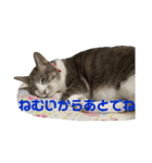 ぽんこつねこず2（個別スタンプ：14）
