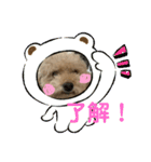 chachanokimochi（個別スタンプ：3）