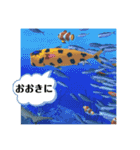 こはく専用4（個別スタンプ：20）