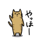 いろいろ毛色の猫たち（個別スタンプ：8）