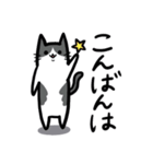 いろいろ毛色の猫たち（個別スタンプ：10）