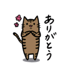 いろいろ毛色の猫たち（個別スタンプ：17）