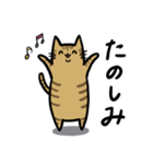 いろいろ毛色の猫たち（個別スタンプ：19）