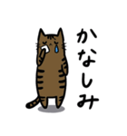 いろいろ毛色の猫たち（個別スタンプ：35）