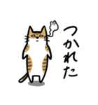 いろいろ毛色の猫たち（個別スタンプ：37）