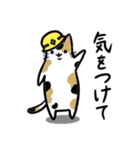 いろいろ毛色の猫たち（個別スタンプ：39）