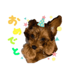 Micherie.melo1（個別スタンプ：3）