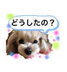 Micherie.melo1（個別スタンプ：5）