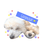 Micherie.melo1（個別スタンプ：13）