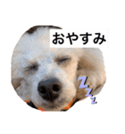 Micherie.melo1（個別スタンプ：14）