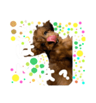 Micherie.melo1（個別スタンプ：15）