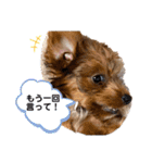 Micherie.melo1（個別スタンプ：18）