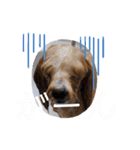 Micherie.melo1（個別スタンプ：20）