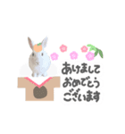 mimy ♪（個別スタンプ：2）