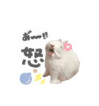 mimy ♪（個別スタンプ：3）